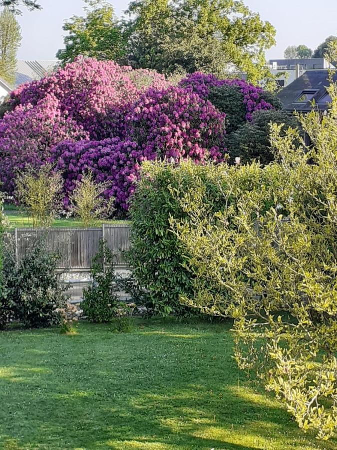 Manoir De L'As De Trefle Bed & Breakfast Isneauville Dış mekan fotoğraf