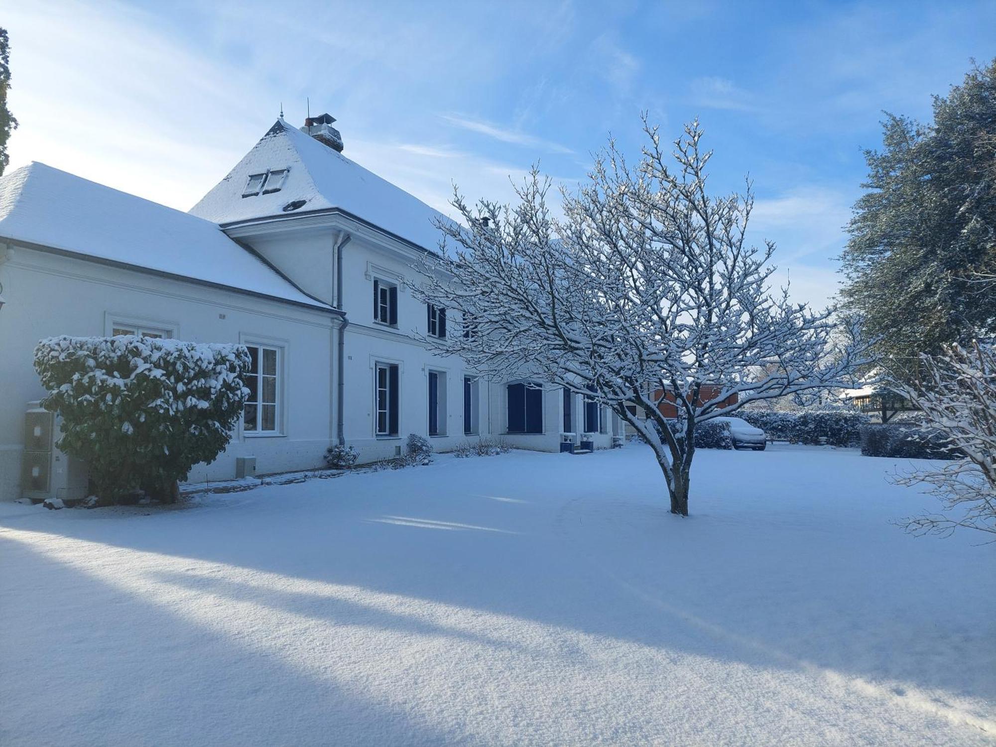 Manoir De L'As De Trefle Bed & Breakfast Isneauville Dış mekan fotoğraf